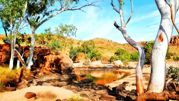 Ghost Gum - Central Australia by Lexa Harpell